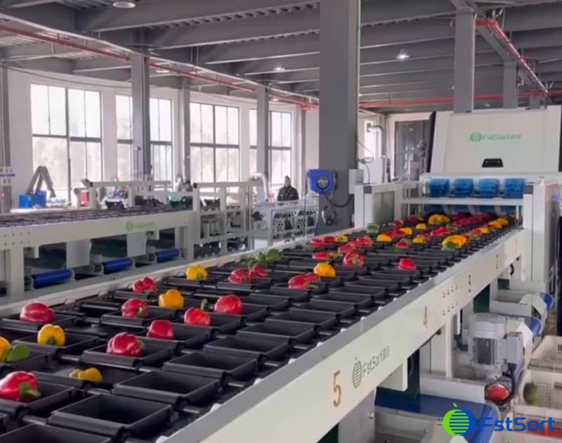 images/1753780866362pepper optical sorter.jpg